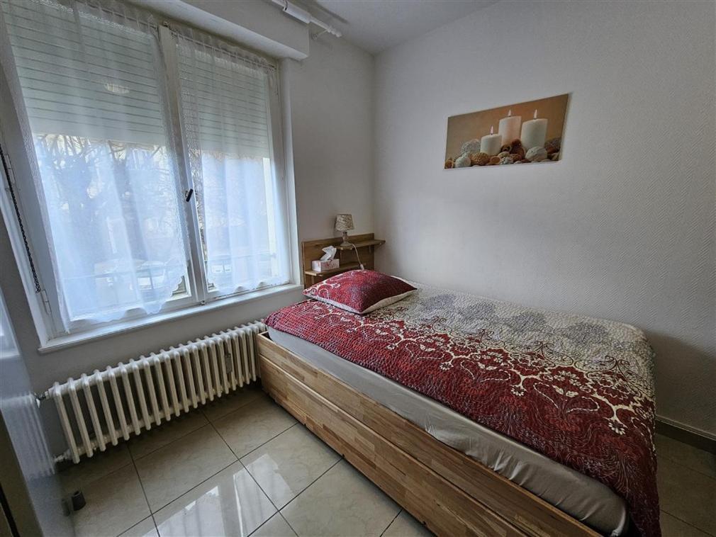 Apartment Immostrasbourg - Hebergements De Tourisme Classes Proche Centre Et Conseil D'europe *